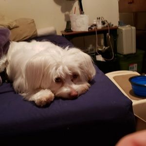 Meet your Posher, Ilse